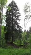 Filename=SDC11580.JPG
Filesize=1022KB
Dimensions=1280x2276
Date added=Oct 11, 2013 SDC11580.JPG