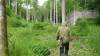 Filename=SDC11575.JPG
Filesize=844KB
Dimensions=1280x720
Date added=Oct 11, 2013 SDC11575.JPG