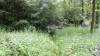 Filename=SDC11588.JPG
Filesize=886KB
Dimensions=1280x720
Date added=Oct 11, 2013 SDC11588.JPG