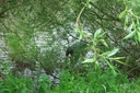 CIMG0084.JPG