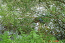Bild_036.jpg