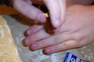 100_0554.jpg