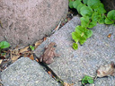 DSC00193.JPG