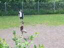 P1010546_Groessenveraenderung.JPG