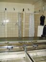 BR-Clantreffen_2008_281029.jpg