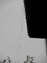 Clantreffen_Unnau_2009_283729.JPG