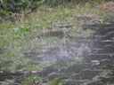 Clantreffen_Unnau_2009_284029.JPG