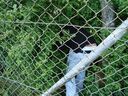 BR_2009_68.jpg