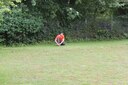 IMG_0185_5B800x6005D.jpg