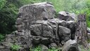 SDC10137.JPG