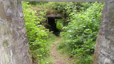SDC11584.JPG