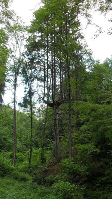 SDC11585.JPG