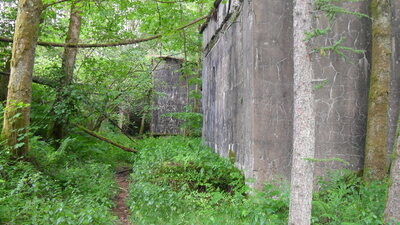 SDC11587.JPG