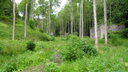 SDC11574.JPG