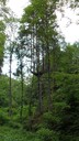 SDC11585.JPG