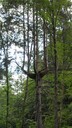 SDC11586.JPG