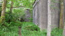SDC11587.JPG