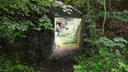 SDC11589.JPG