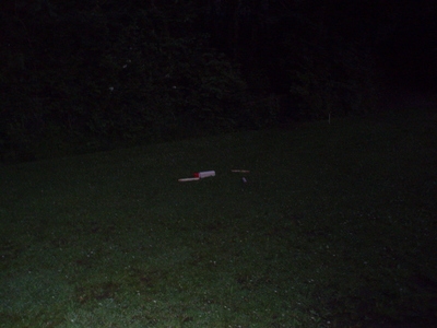 P6290099.JPG