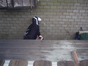 P6280009.JPG