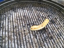 IMG_20140628_150729.jpg