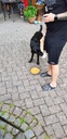 20190614_192602.jpg
