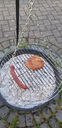 20190615_143954.jpg